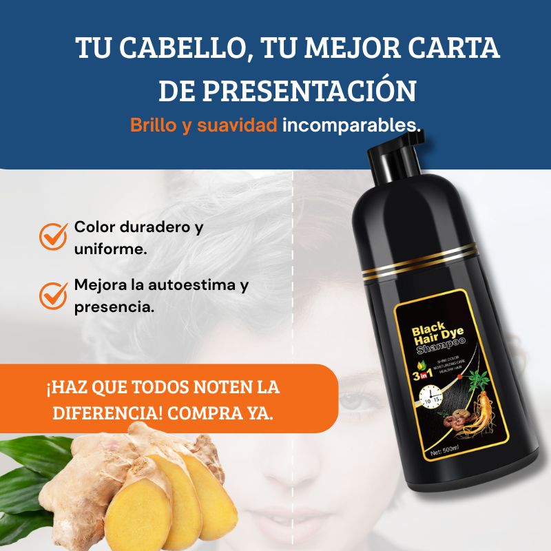 Shampoo Black Hair Dye 3 en 1